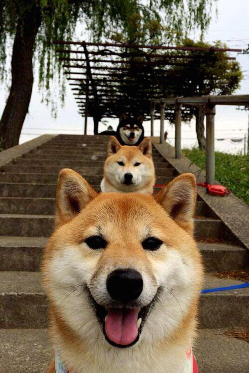 _勇士三分线外火力全开，场场爆发_，勇士三分战术