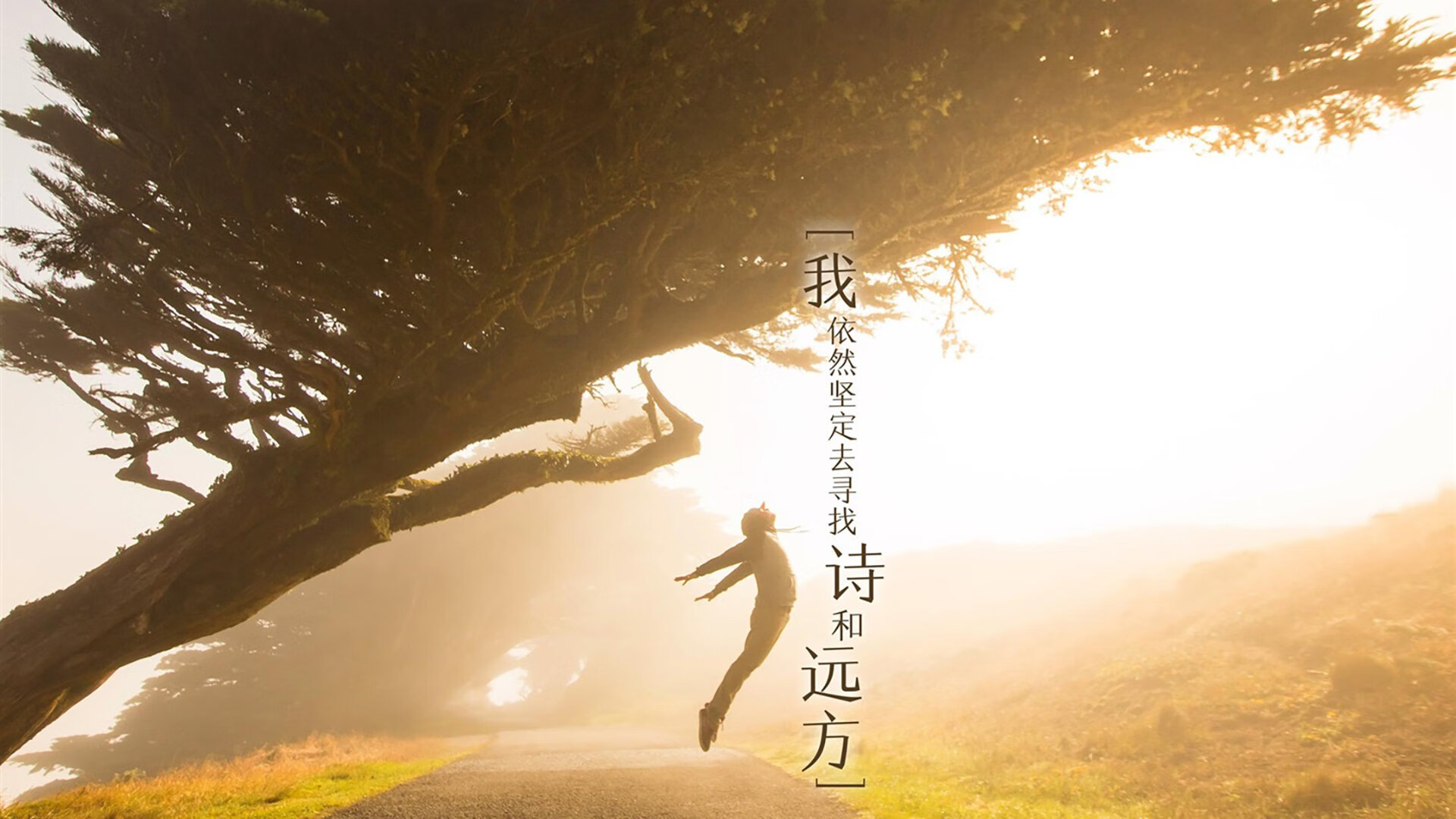 开云体育网址-_街头篮球赛：青年文化与体育融合新风尚_，街头篮球属于街头文化吗