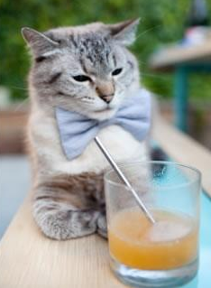 开云体育官网-“超越自我！明星运动员在比赛中的极限表现”，明星运动员综艺节目