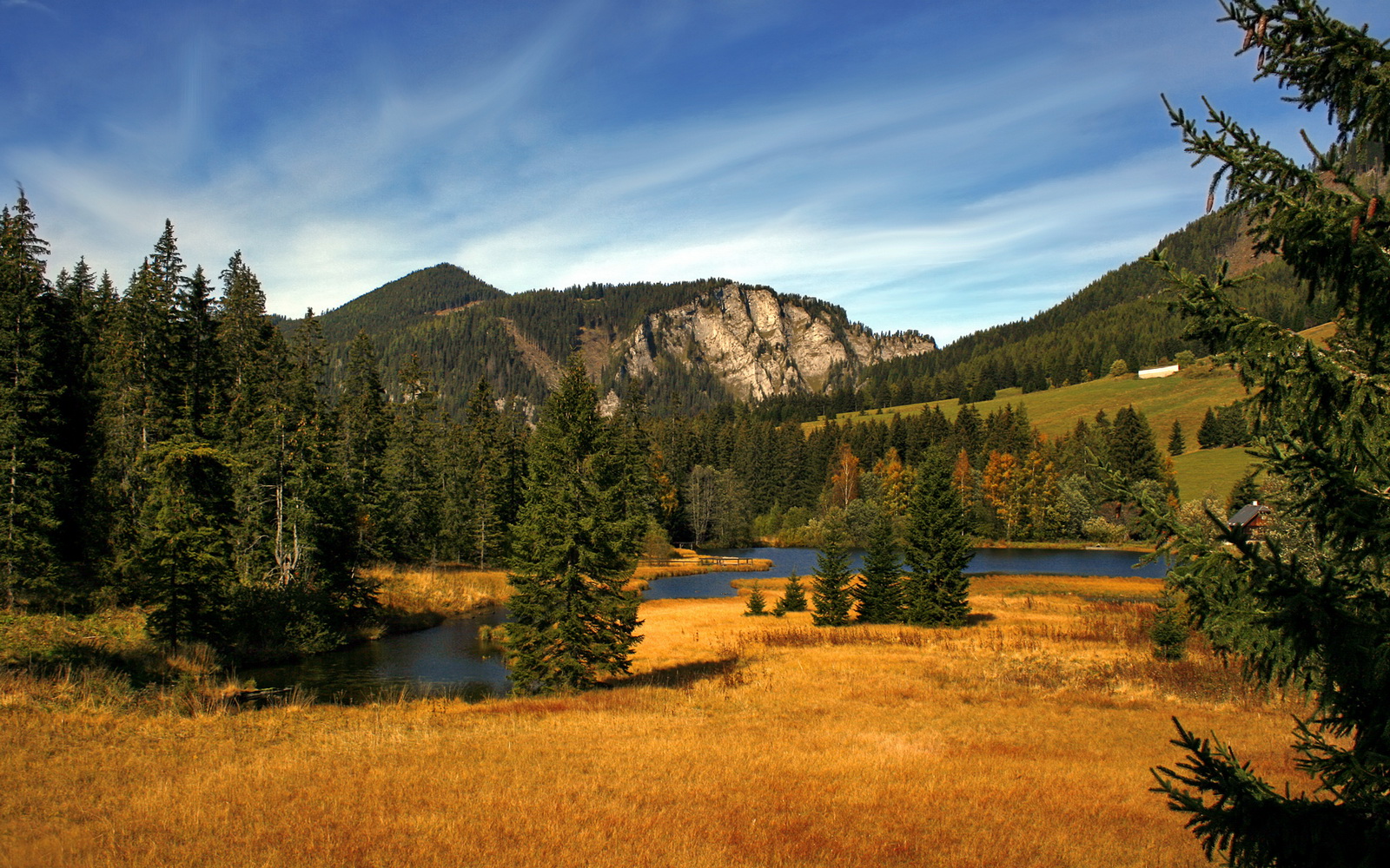 【规则演变】台球新规对运动员战术布局的影响分析，台球规则知乎