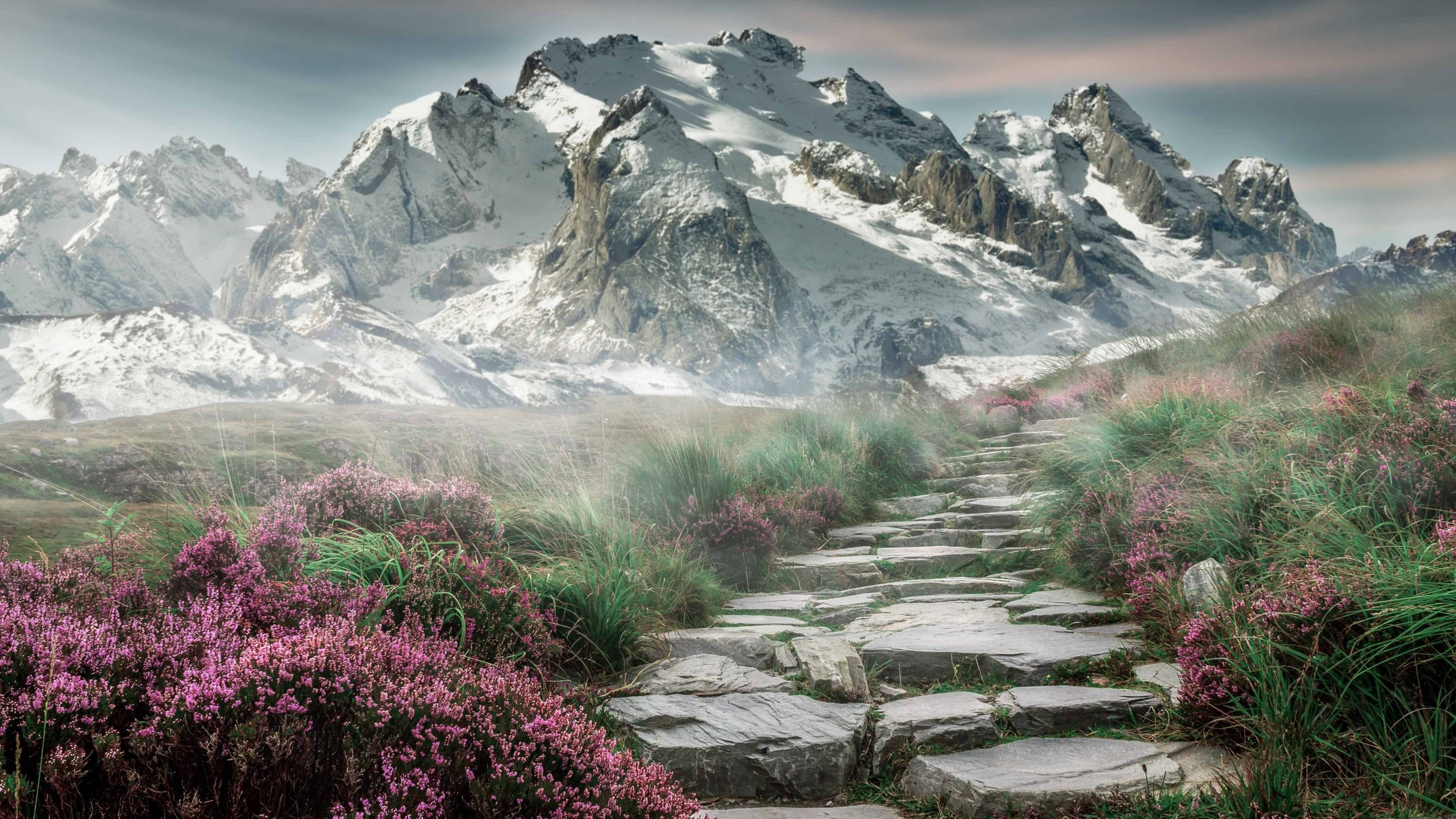 kaiyun sports-世界马拉松大满贯赛事之一成功举办，运动员创佳绩，世界马拉松大满贯官网