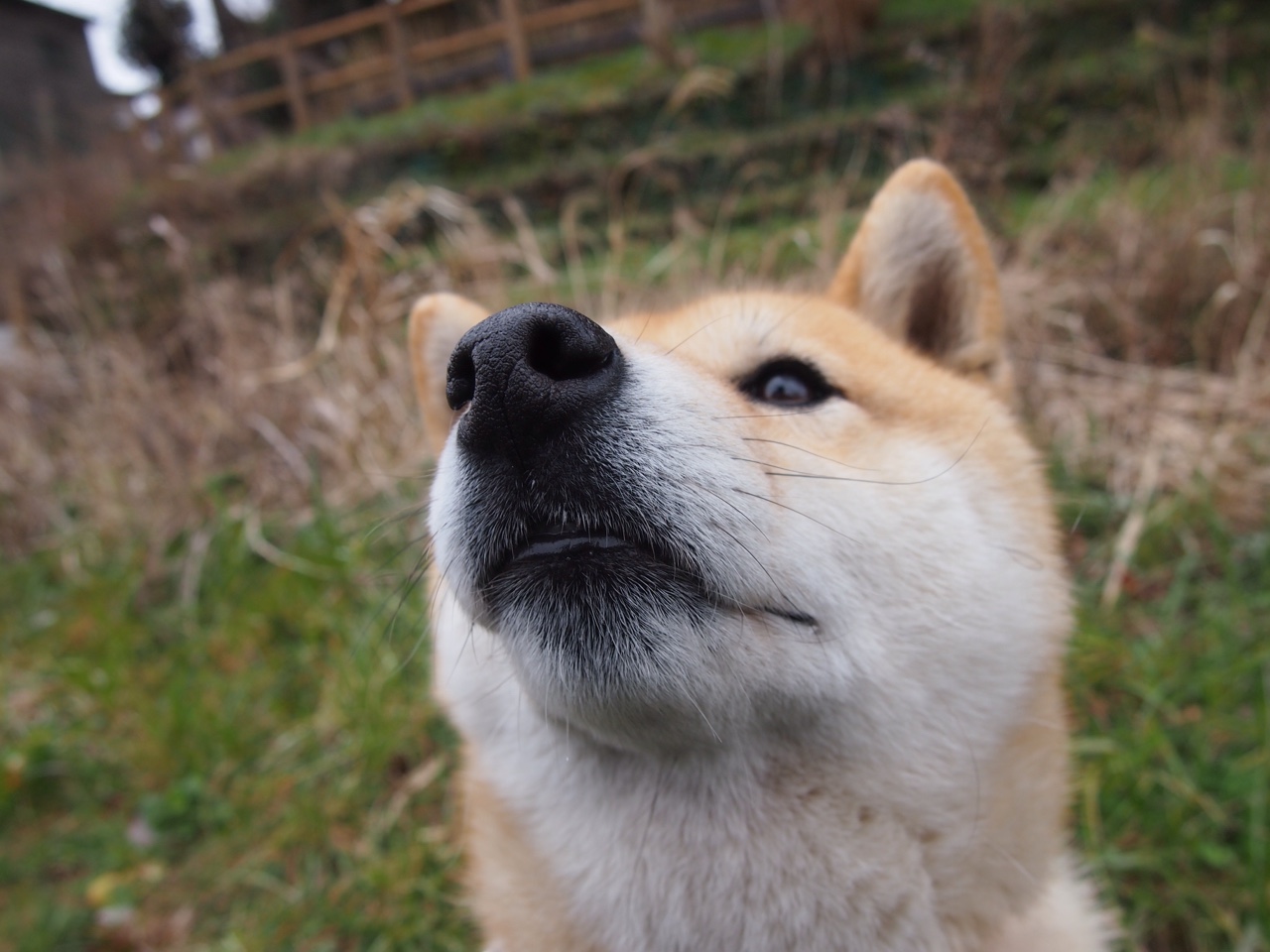 中国足球国际友谊赛精彩纷呈，提升水平，足球国际赛友谊赛