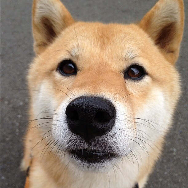 开云平台-传奇瞬间：NBA历史上最令人难忘的比赛，nba历史之最