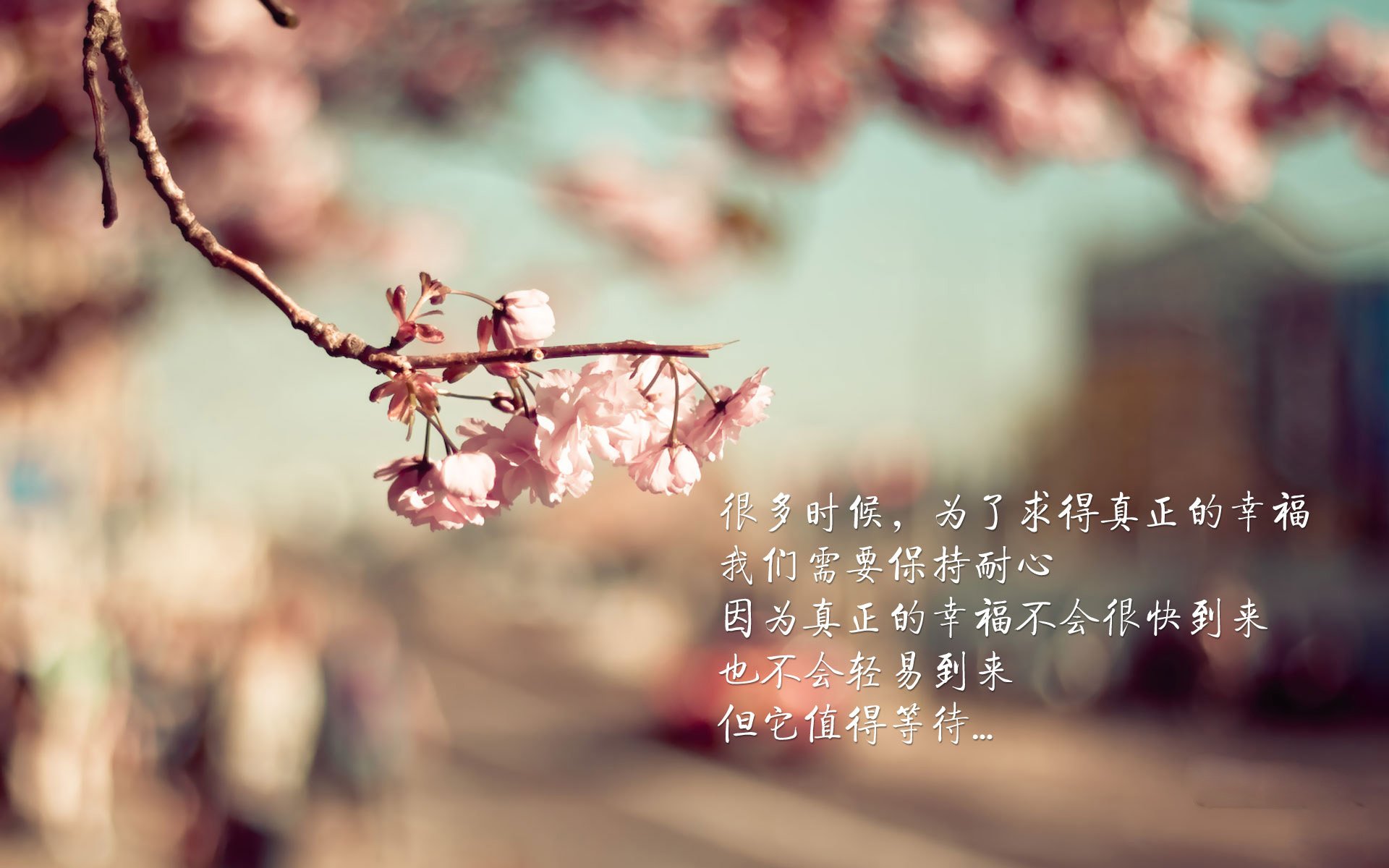 城市赛道的设计与特色，城市赛道的设计与特色是什么