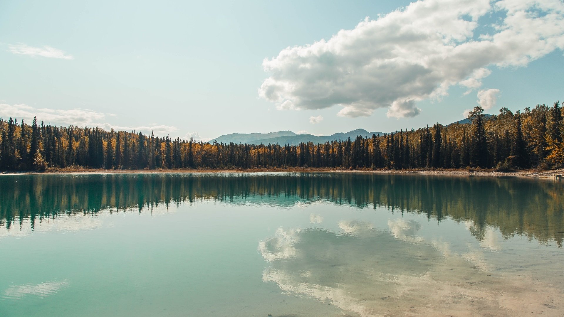 西甲逆转战,球员采访中谈到比赛节奏调整与心理准备,西甲转会规则
