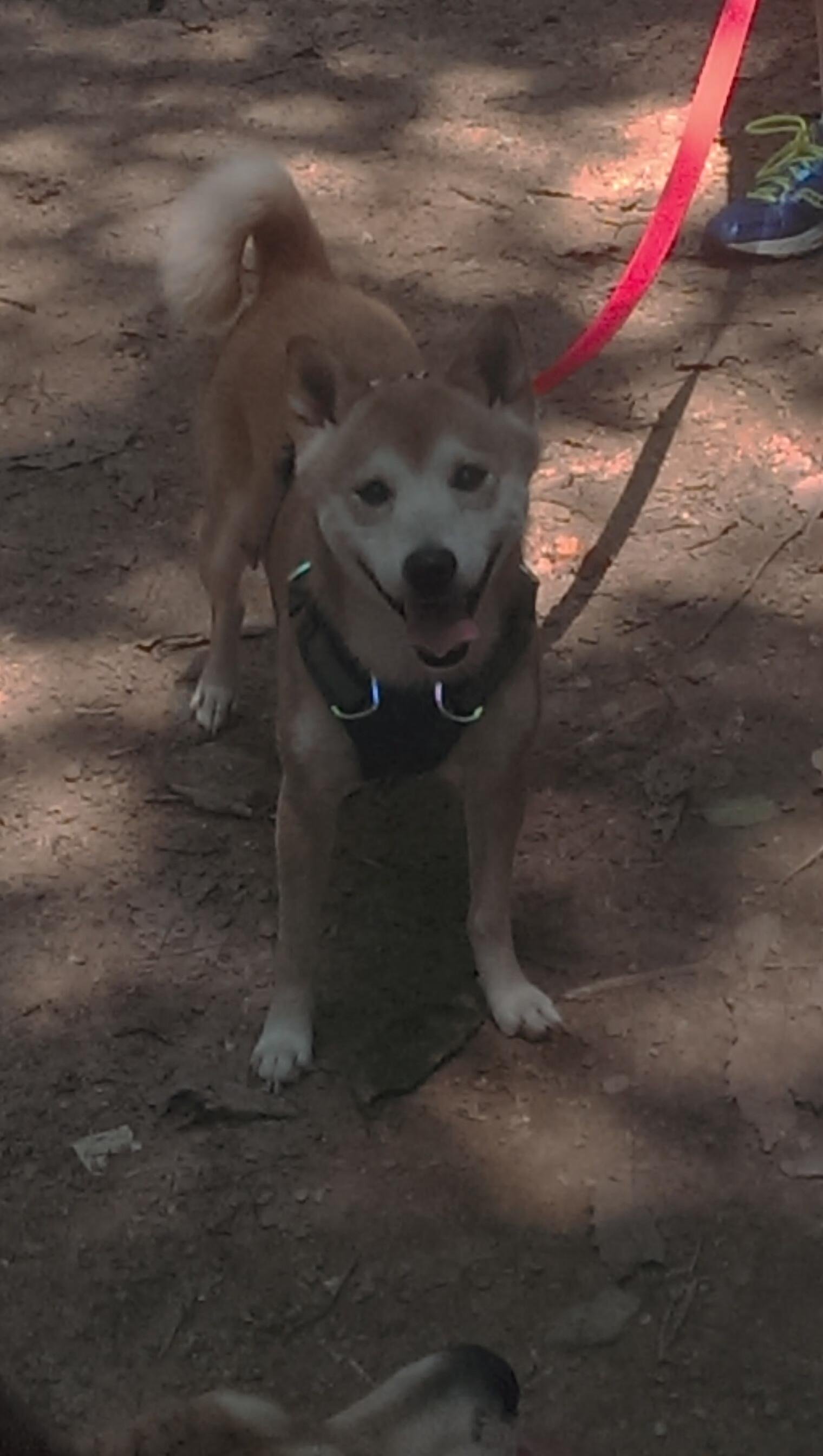 kaiyun xiazai-凯撒酋长签约新医疗团队，提升球员健康管理，凯撒现状