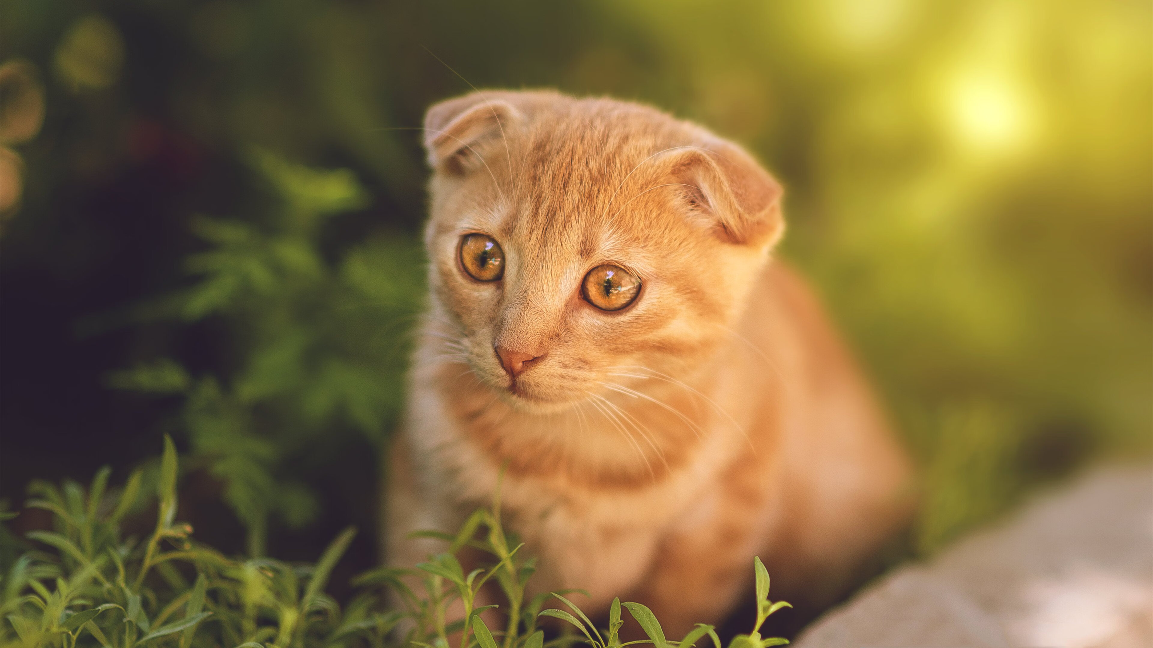 国足攻守平衡,战术纪律性提高,国足赢的三个方案