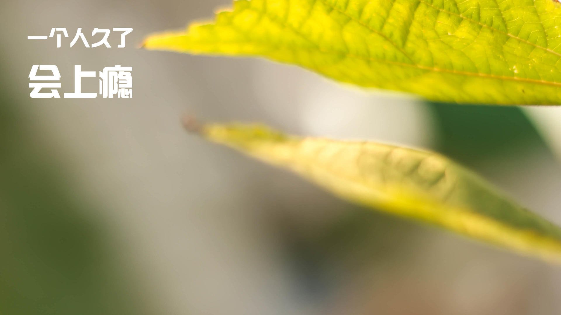 大比分战胜对手，强队稳坐积分榜首位，大比分比赛