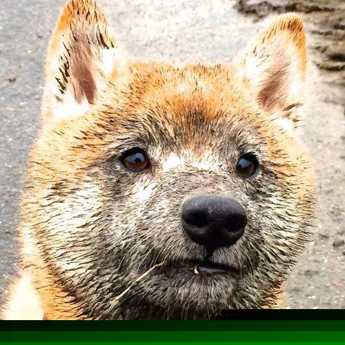 开云体育官网-帕尔梅拉斯新援首秀表现抢眼，帕尔梅拉斯主场球衣