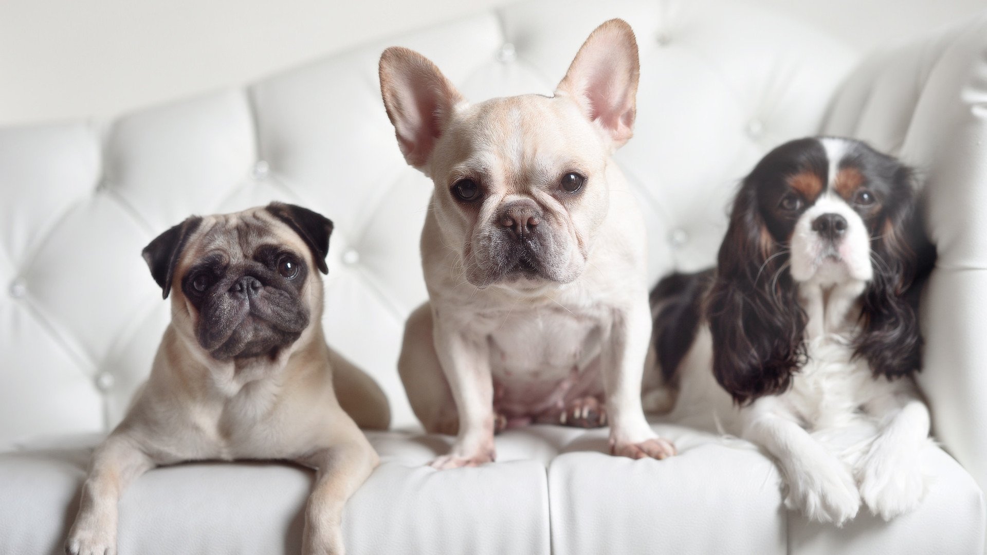 开云官网-国足球员心态稳定性评估，足球心理素质